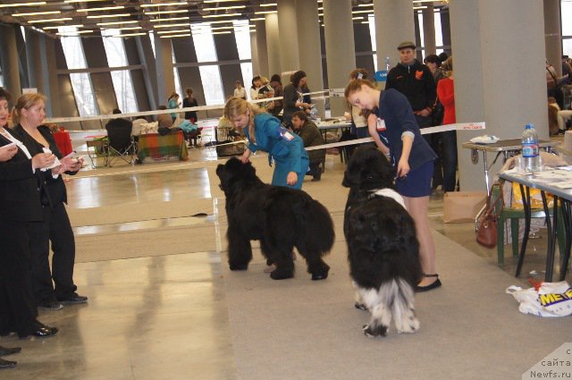 Фотография № 179219