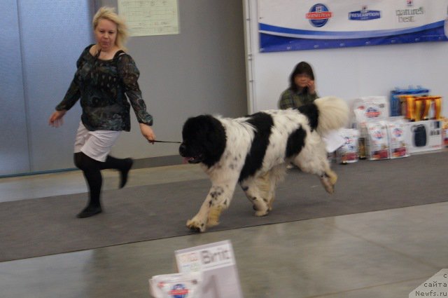 Фотография № 179221