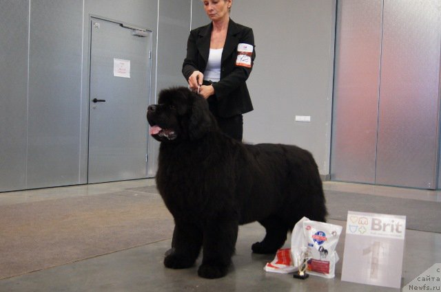 Фотография № 179222