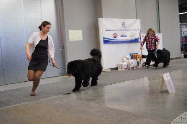 Фотография № 179223