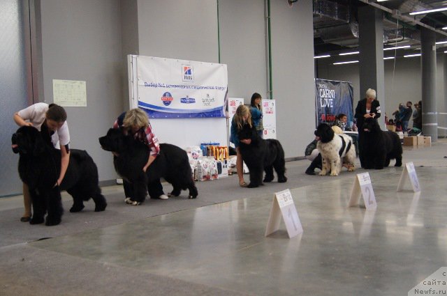 Фотография № 179225