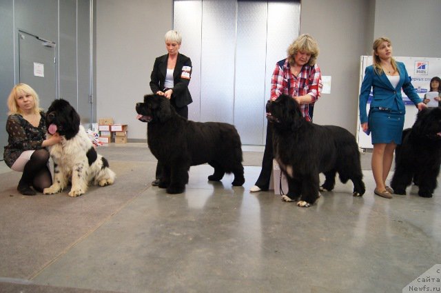 Фотография № 179227