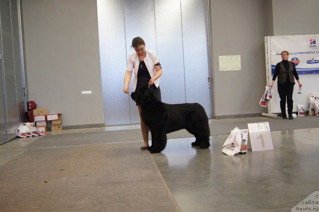 Фотография № 179229