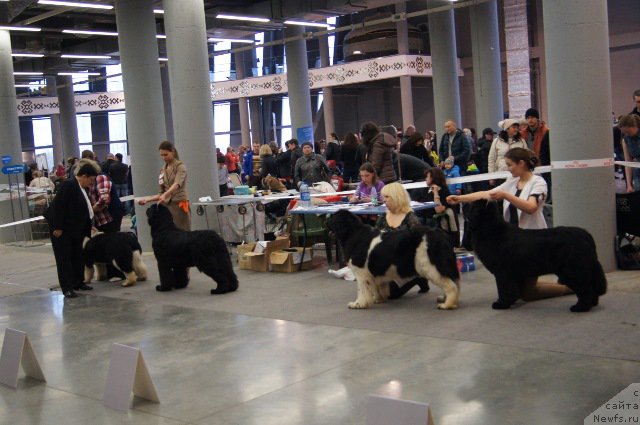 Фотография № 179231