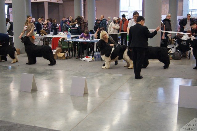 Фотография № 179233