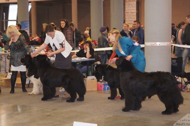 Фотография № 179234