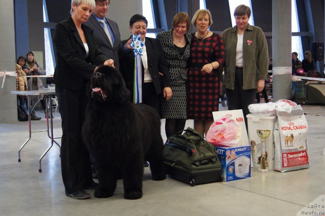 Фотография № 179240