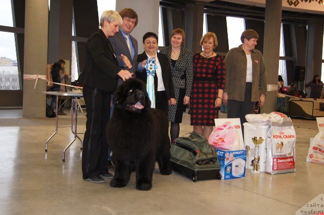 Фотография № 179241