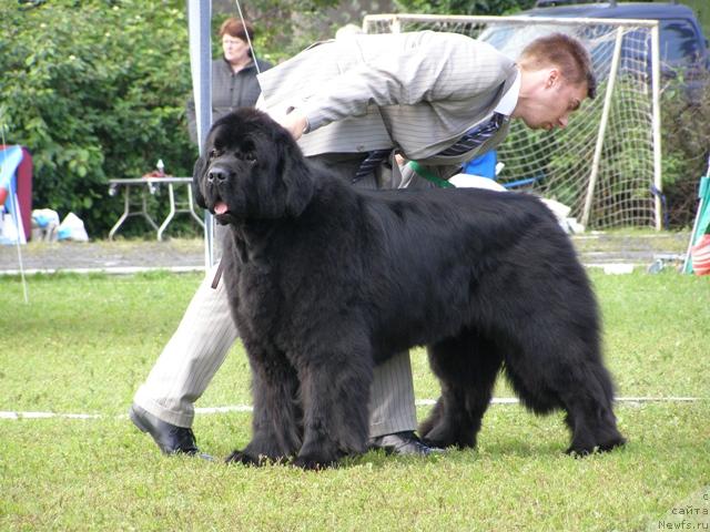 Фотография № 17927