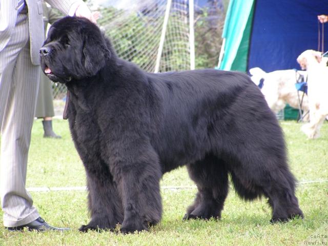 Фотография № 17929