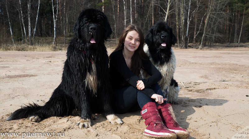 Фотография № 179320