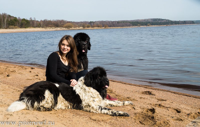 Фотография № 179321