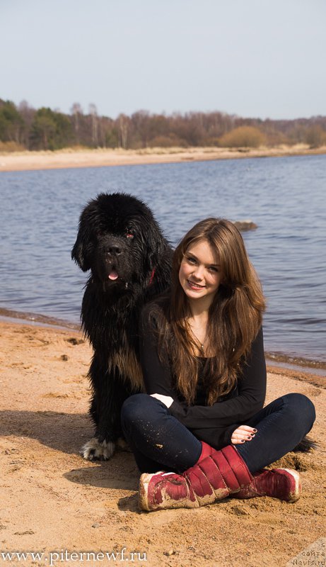 Фотография № 179322