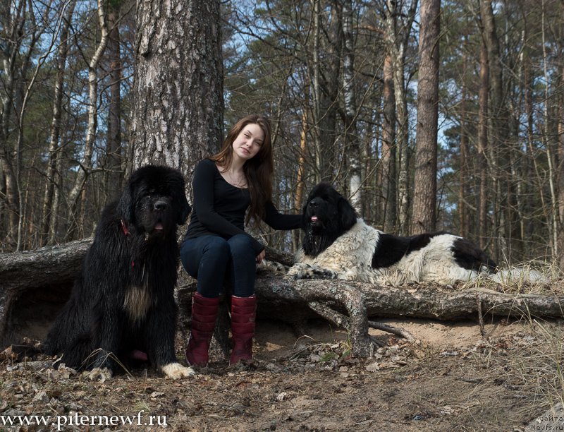 Фотография № 179327