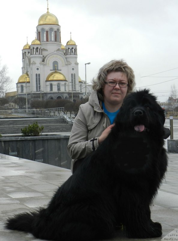 Фото: ньюфаундленд Их Высочество Дивная Царица, Яна Липовцева