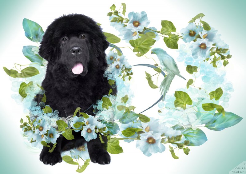 Фотография № 179350