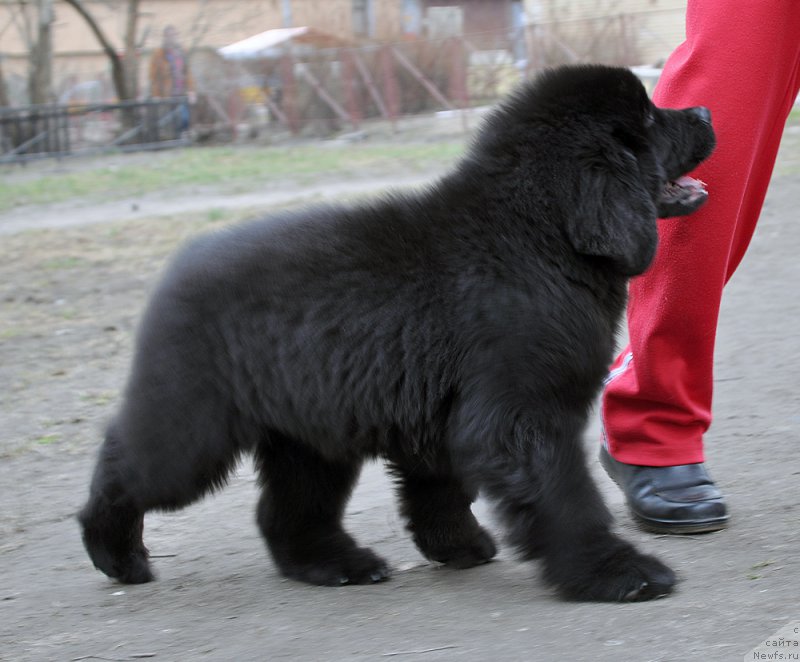 Фотография № 179351