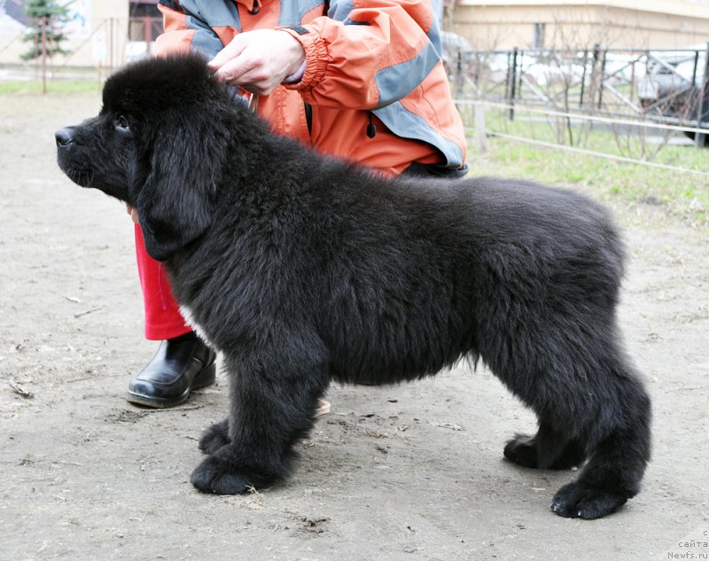 Фотография № 179353