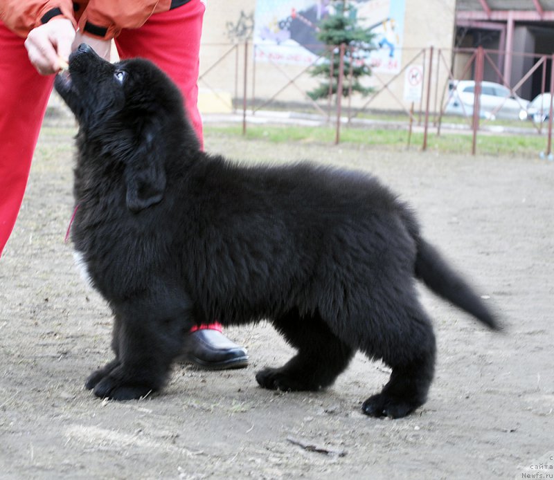 Фотография № 179355