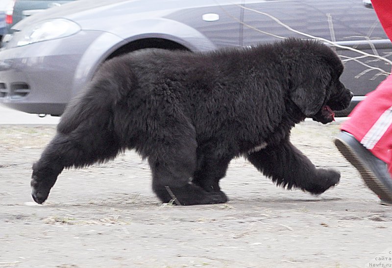 Фотография № 179358