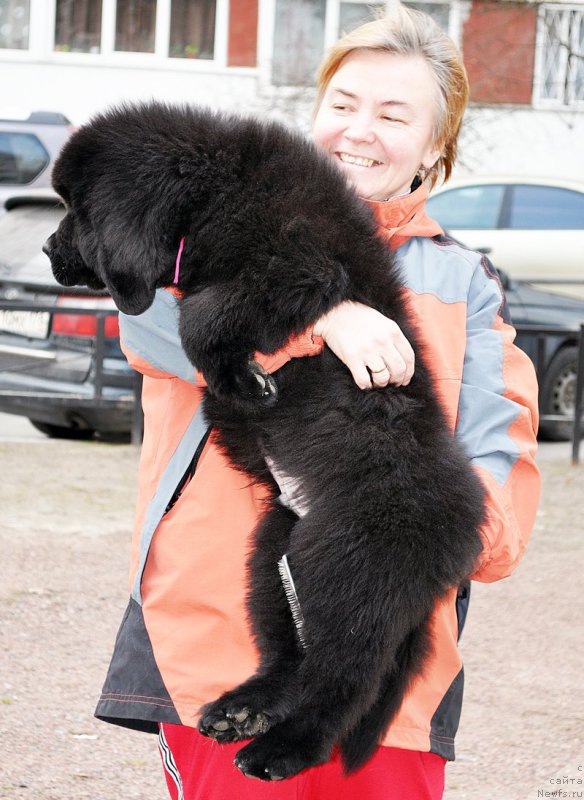 Фотография № 179359