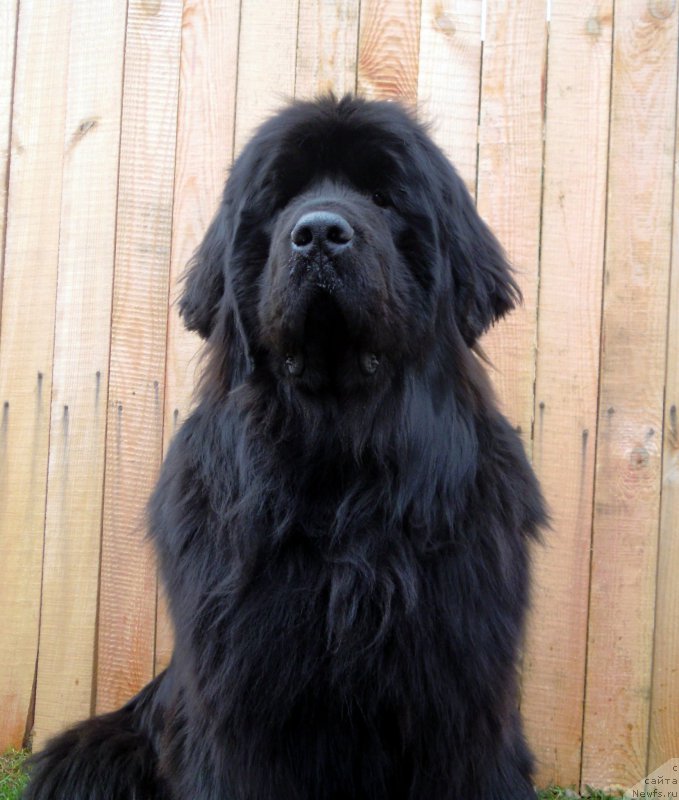 Фотография № 179363