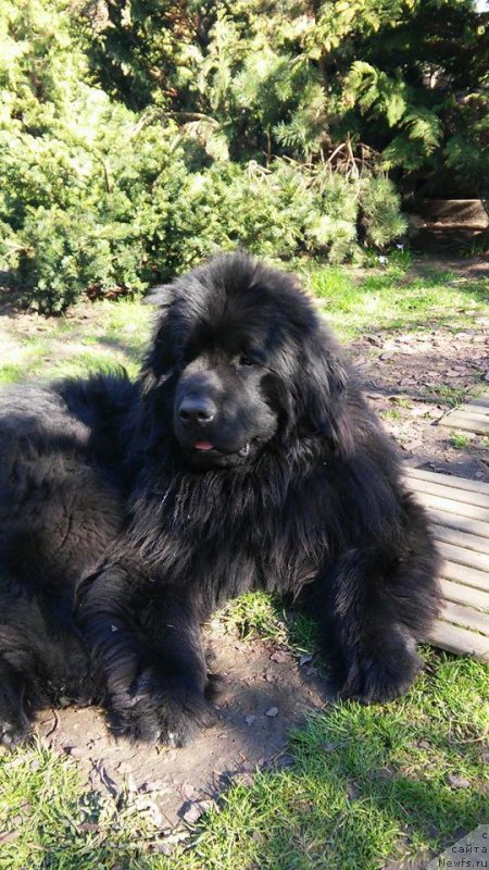 Фотография № 179374