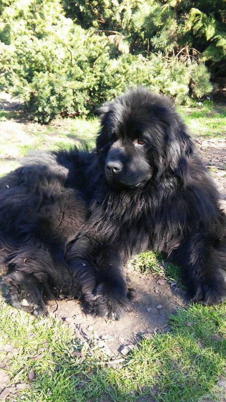 Фотография № 179375