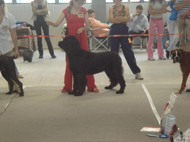 Фотография № 17939