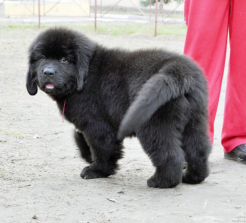 Фотография № 179449