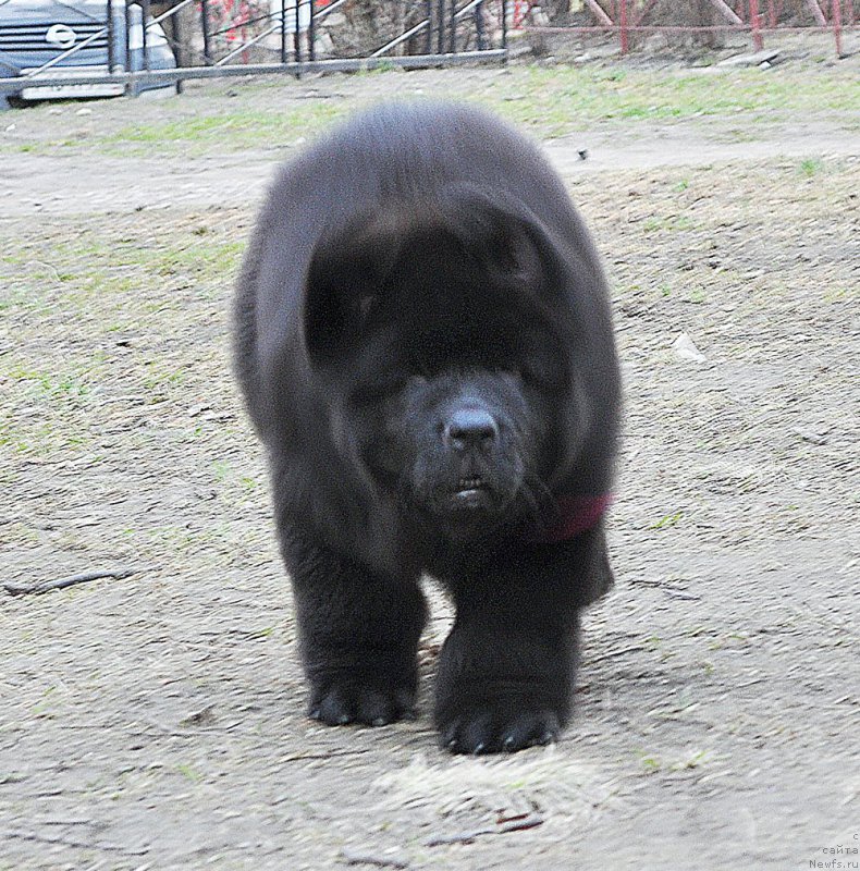 Фотография № 179451