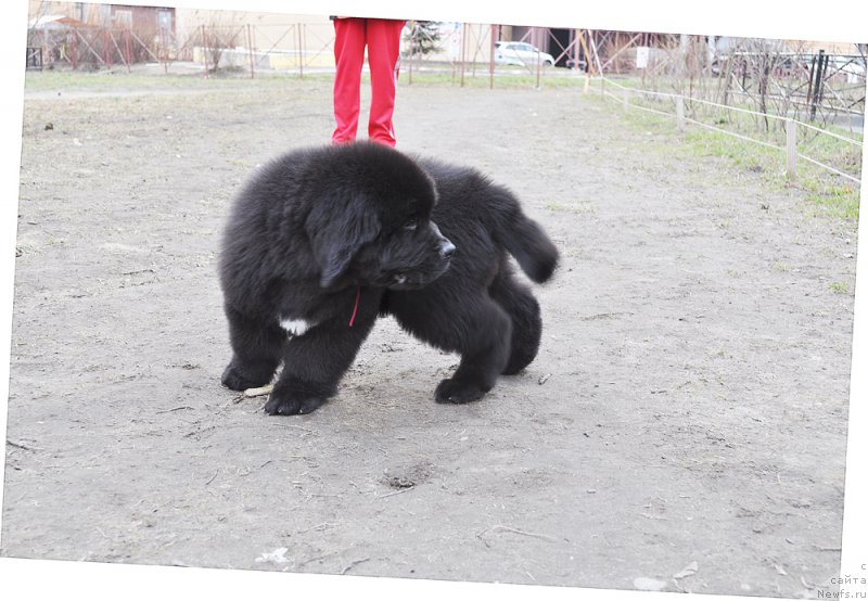 Фотография № 179452