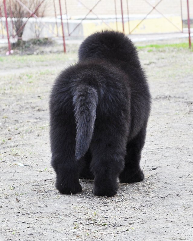 Фотография № 179454