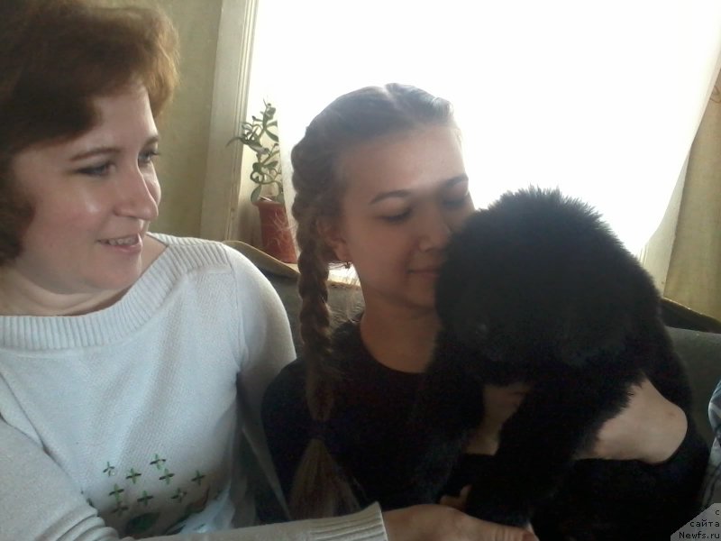 Фотография № 179465