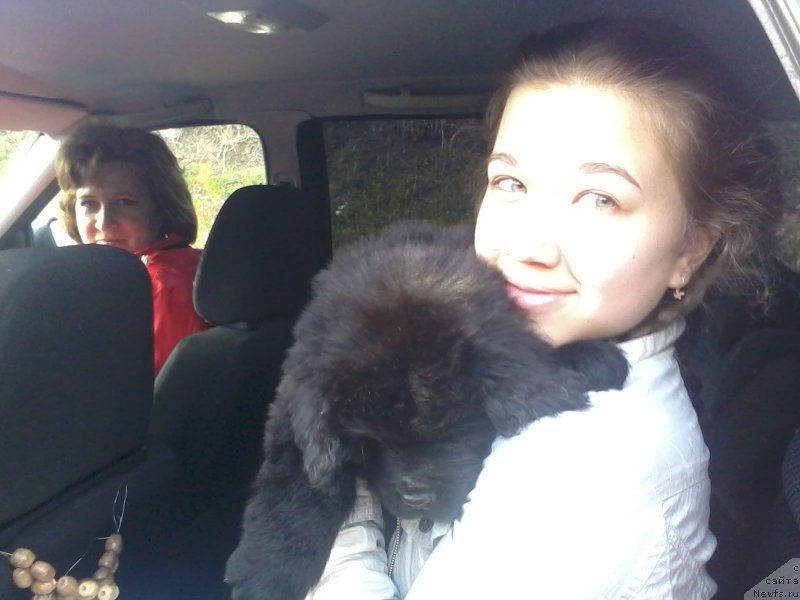 Фотография № 179466