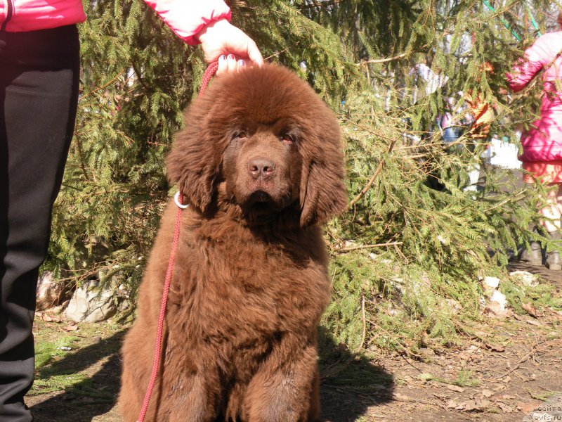 Фотография № 179491