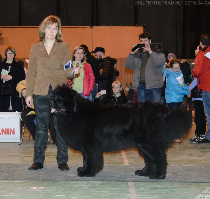 Фотография № 179503