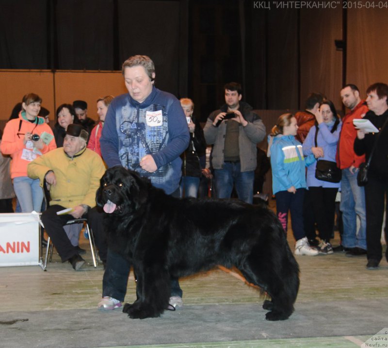 Фотография № 179504