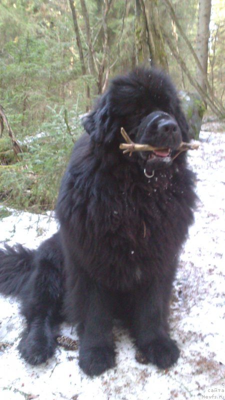 Фотография № 179507