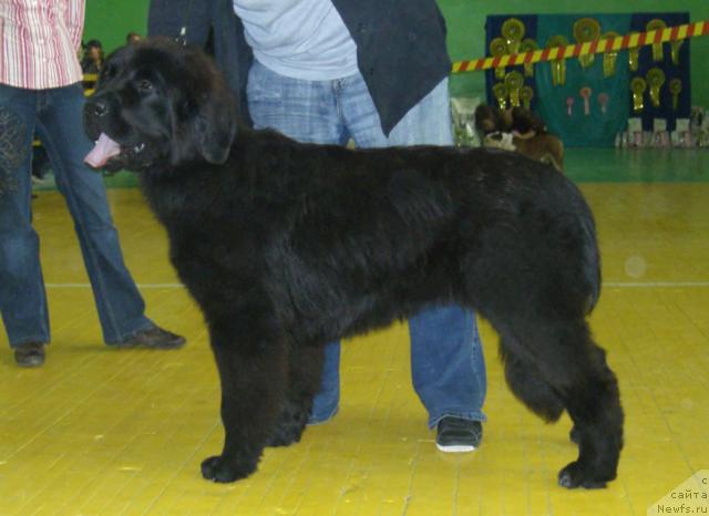 Фотография № 17951