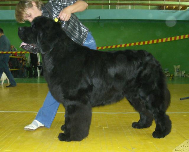 Фотография № 17953