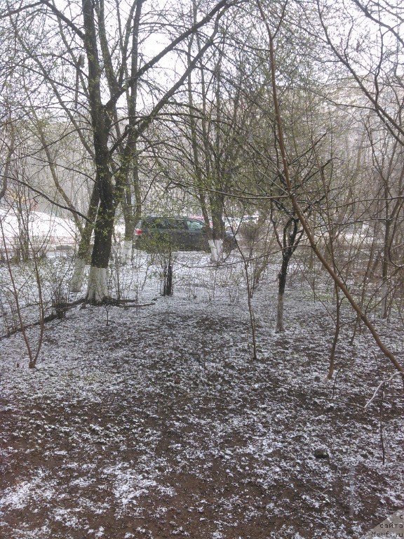 Фотография № 179531