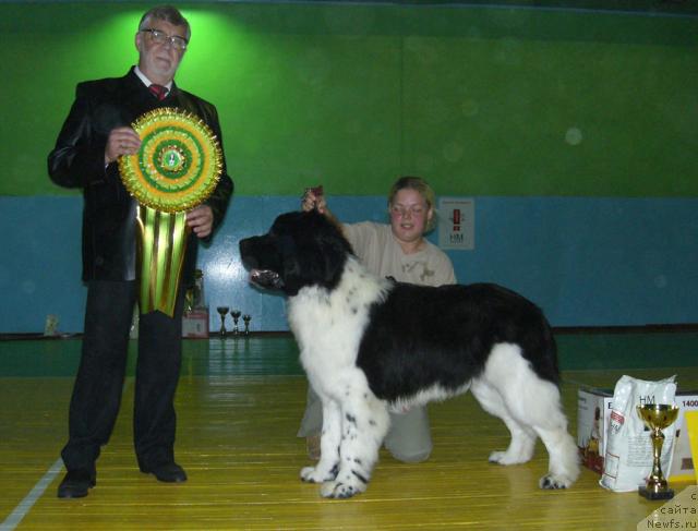 Фотография № 17954