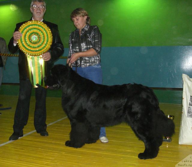 Фотография № 17955