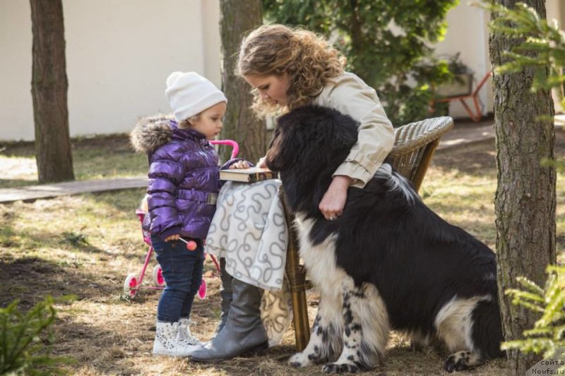 Фотография № 179552