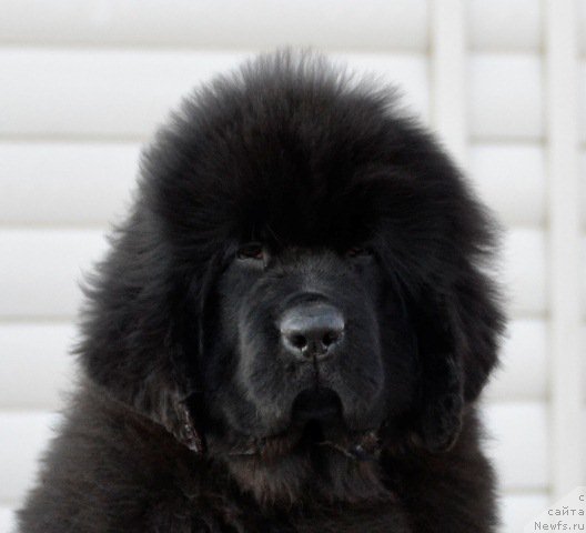 Фотография № 179555