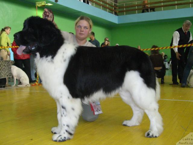 Фотография № 17956