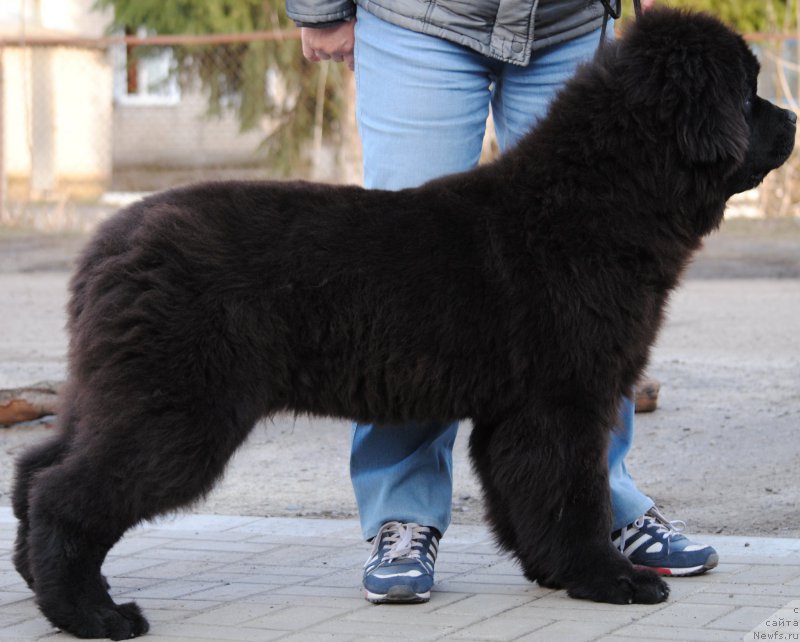 Фотография № 179579