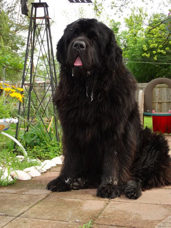 Фотография № 179581