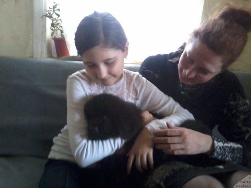 Фотография № 179599